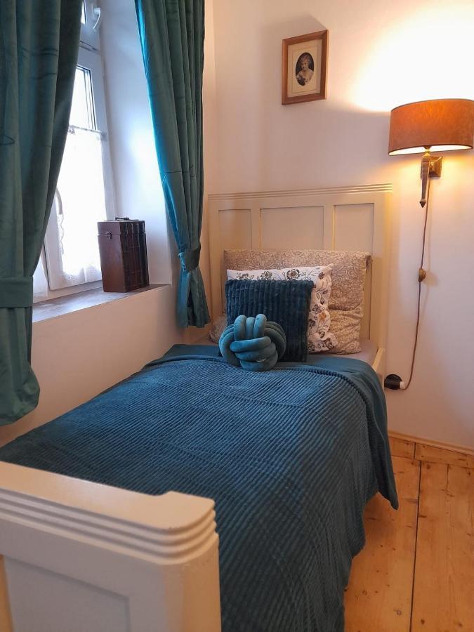 Zlata Leta - Apartmanovy Dum Jáchymov Buitenkant foto