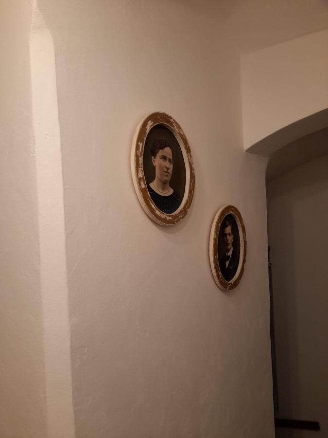 Zlata Leta - Apartmanovy Dum Jáchymov Buitenkant foto