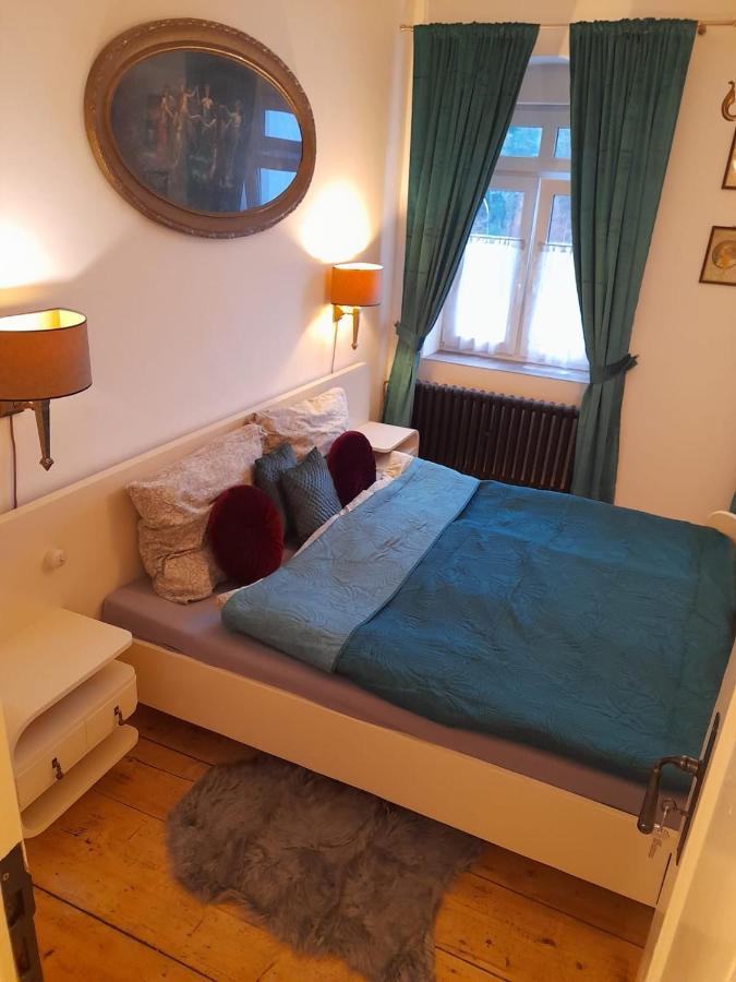 Zlata Leta - Apartmanovy Dum Jáchymov Buitenkant foto