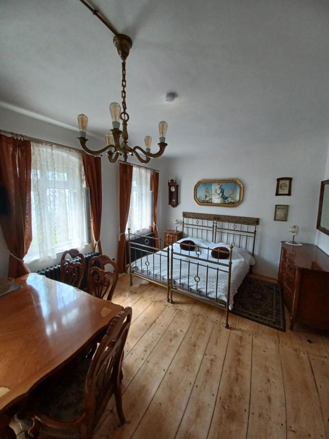 Zlata Leta - Apartmanovy Dum Jáchymov Buitenkant foto